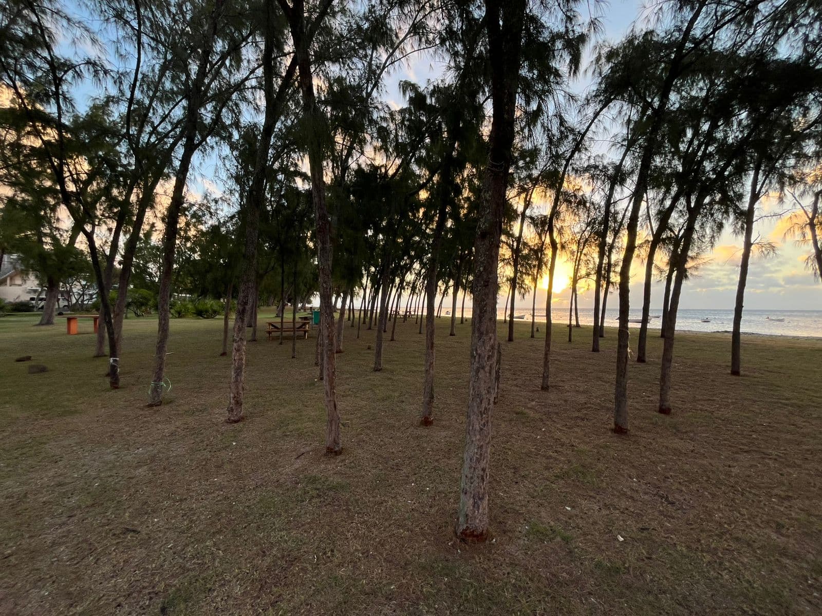 Caverne Poverne — Rodrigues, 3/4