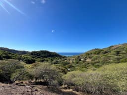 Rivière Banane Viewpoint