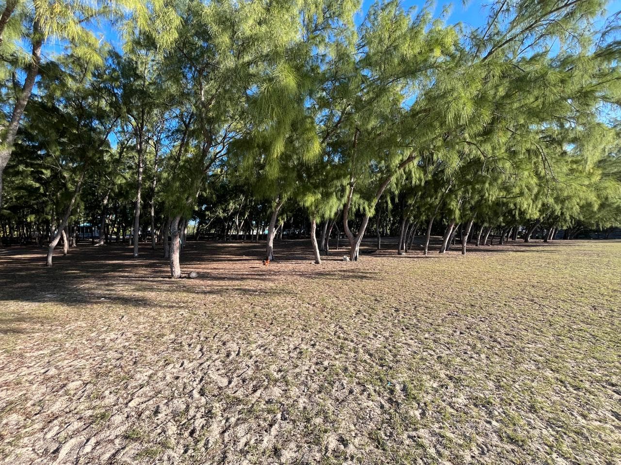 Pointe Coton Beach — Rodrigues, 3/3
