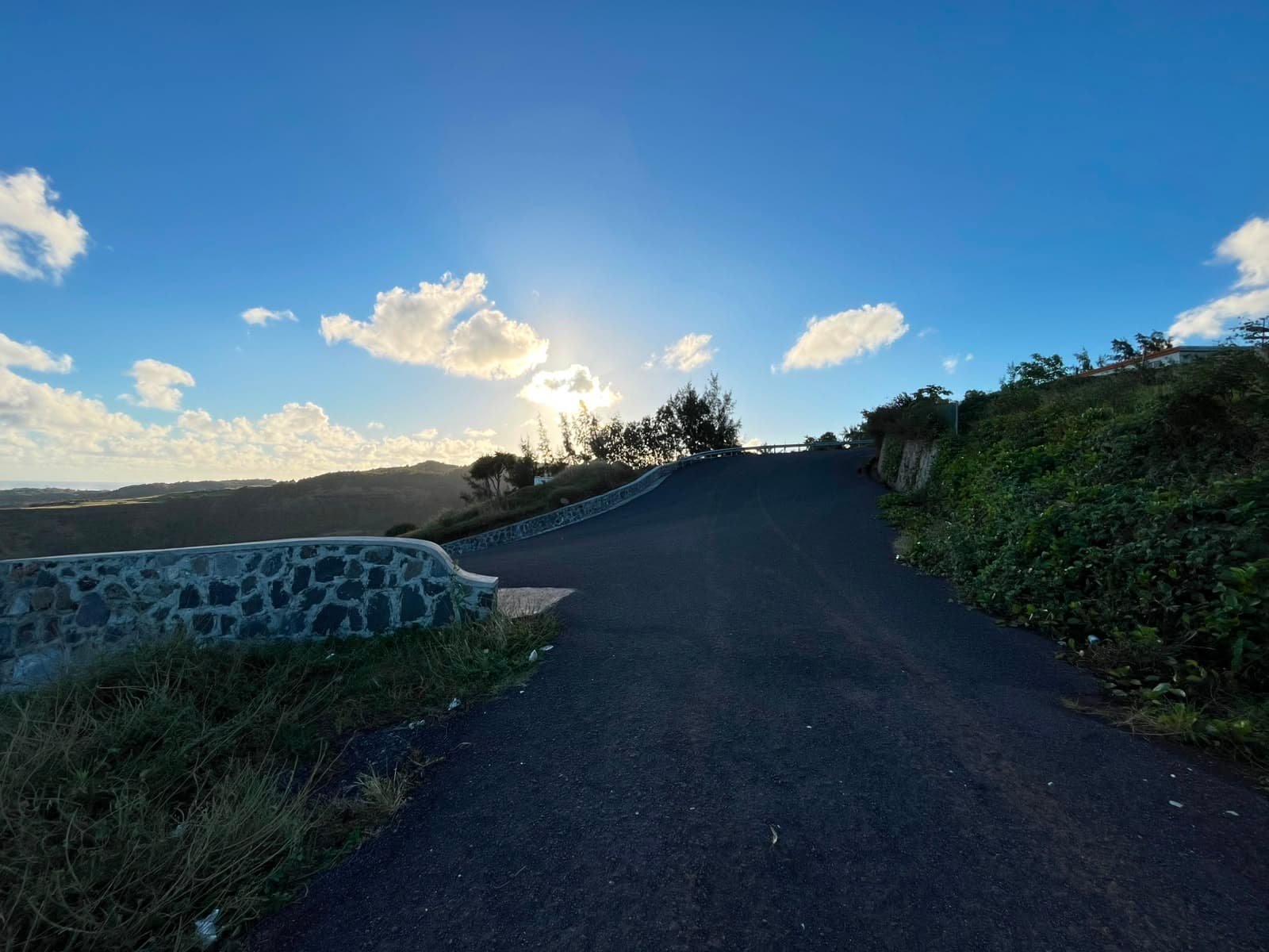 Citron Donis Viewpoint — Rodrigues, 2/4