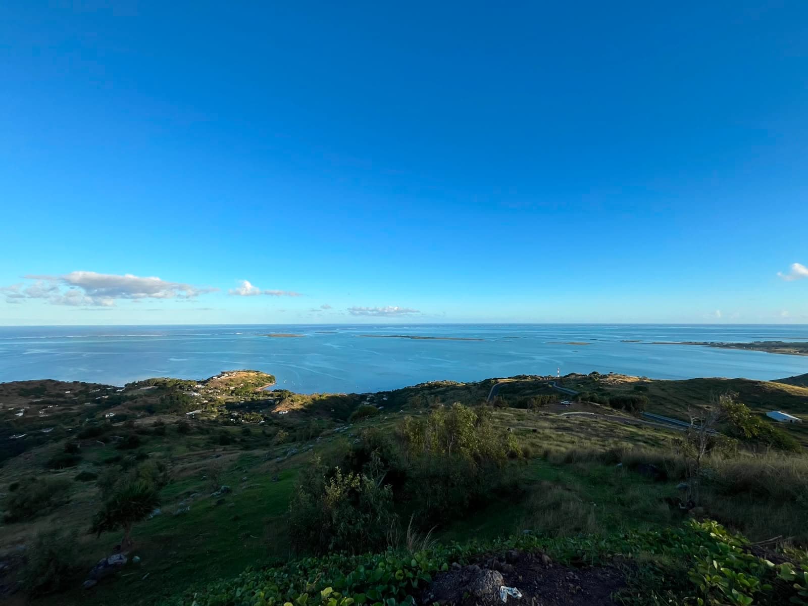 Citron Donis Viewpoint — Rodrigues, 3/4