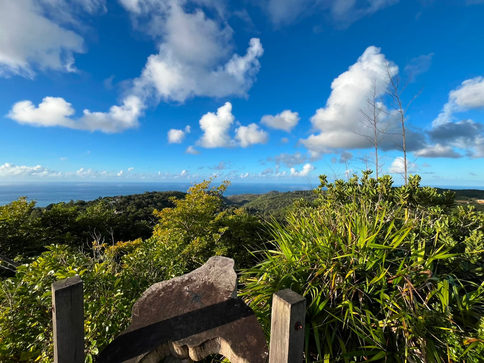 Mont Limon Viewpoint — Rodrigues, 4/4
