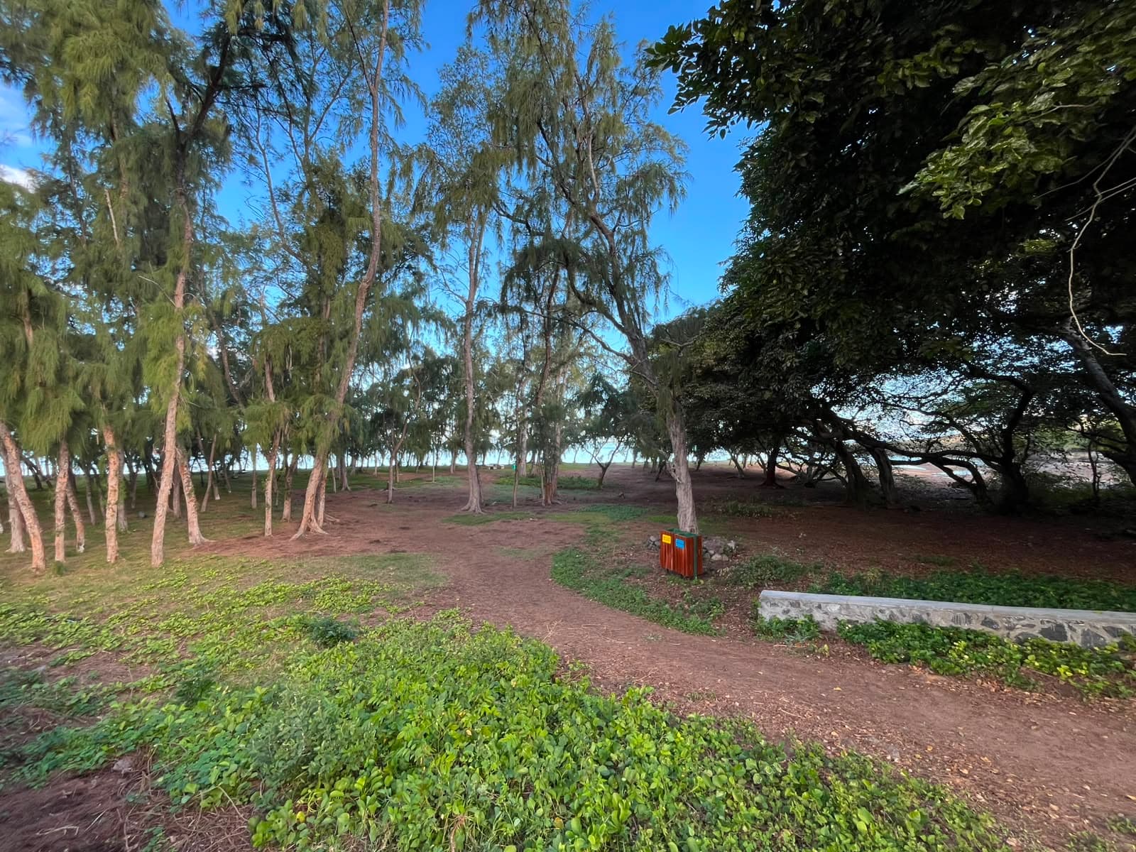 Anse Raffin Beach — Rodrigues, 1/1