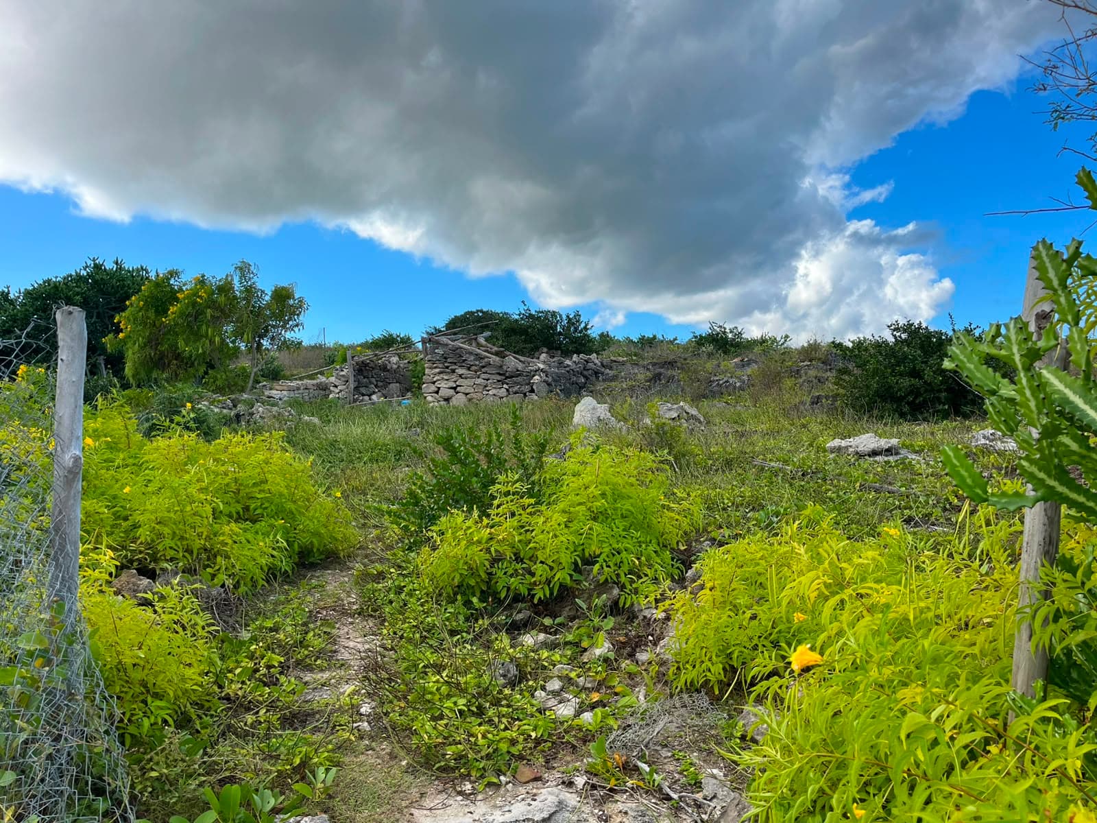 Sandy Patate Bay — Rodrigues, 3/3