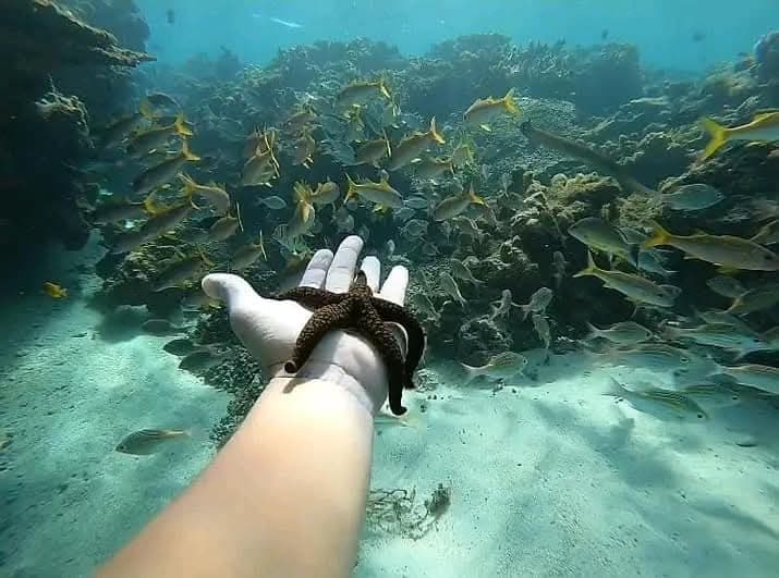 Plongée en apnée/Aquarium Rivière Banane